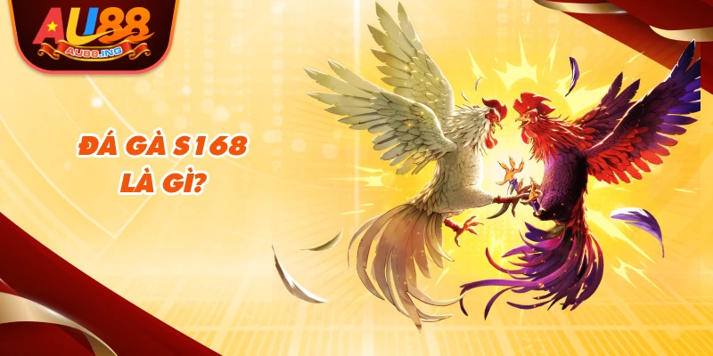 Đá gà S168 là gì?